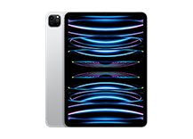 11-inch iPad Pro Wi-Fi + Cellular 256GB - Silver (2022)