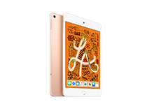 iPad mini Wi-Fi + Cellular 256GB Gold iPad mini Wi-Fi + Cellular 256GB Gold