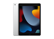 10.2-inch iPad Wi-Fi + Cellular 256GB - Silver