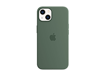iPhone 13 Silicone Case with MagSafe – Eucalyptus
